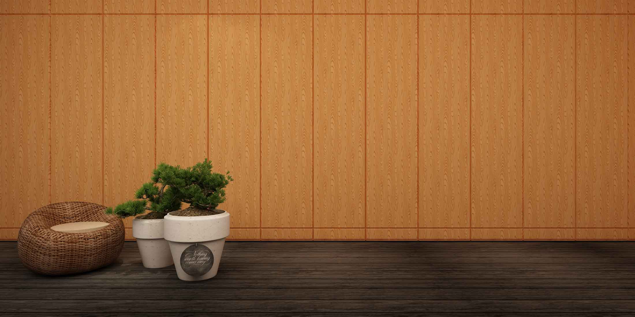案例
