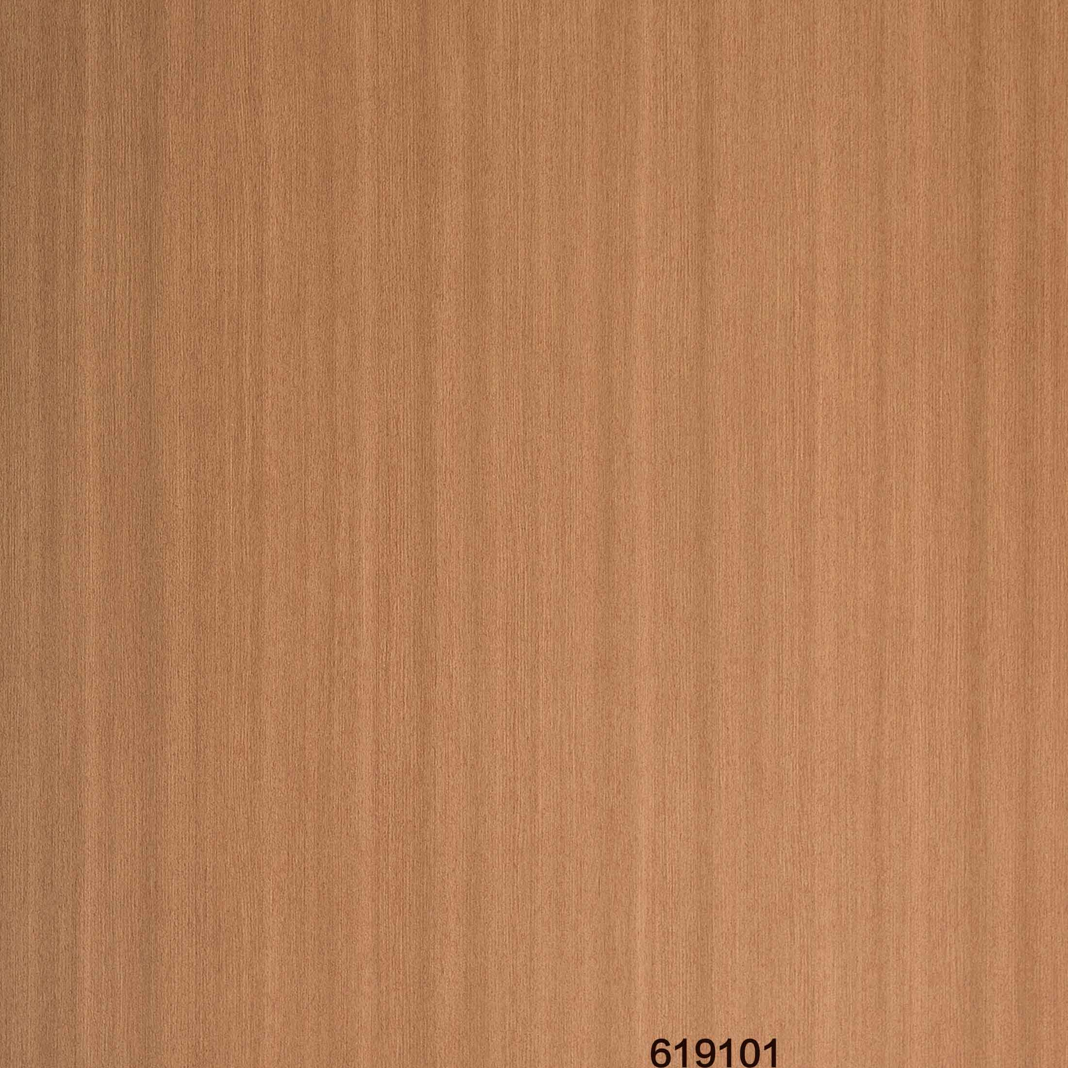 619101