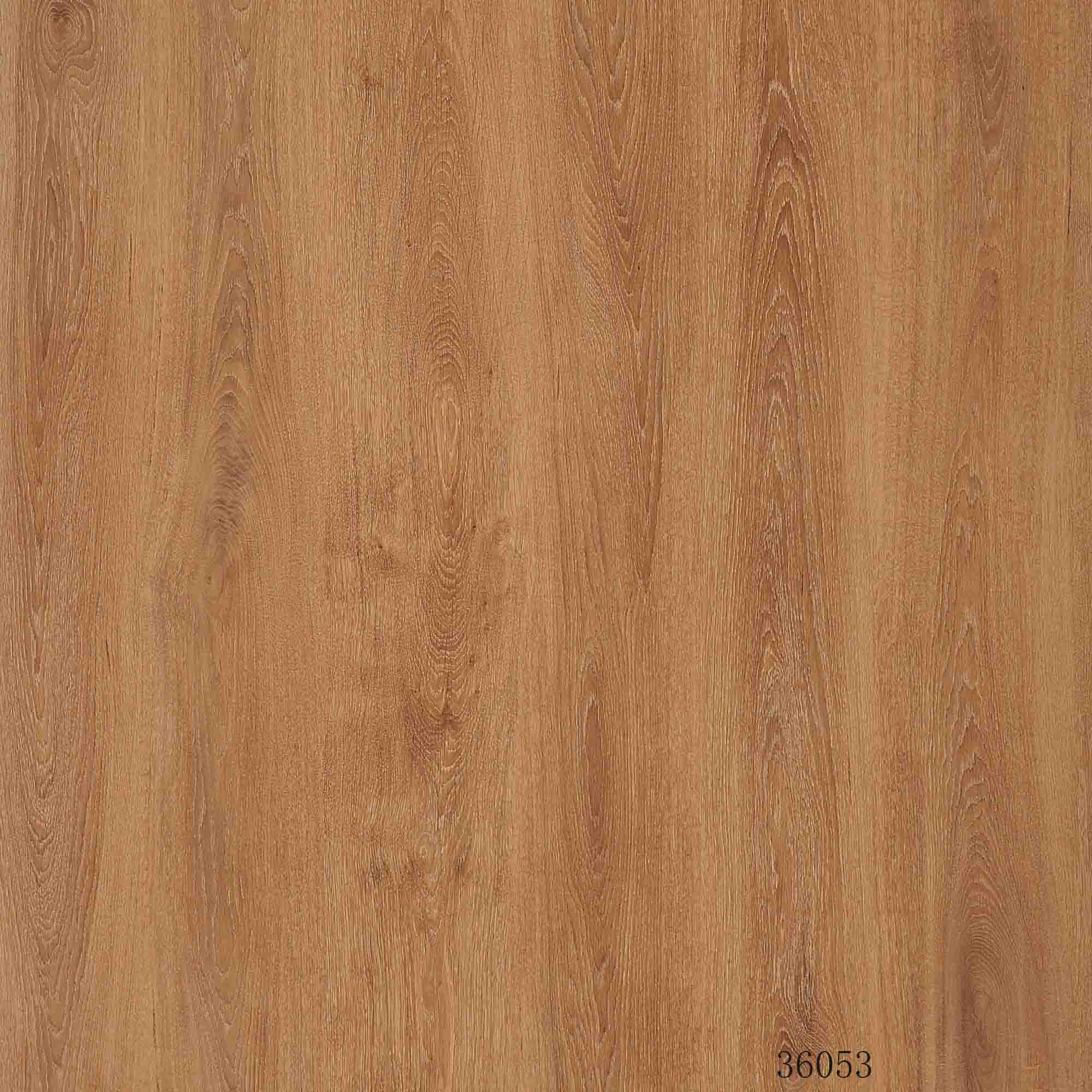 36053